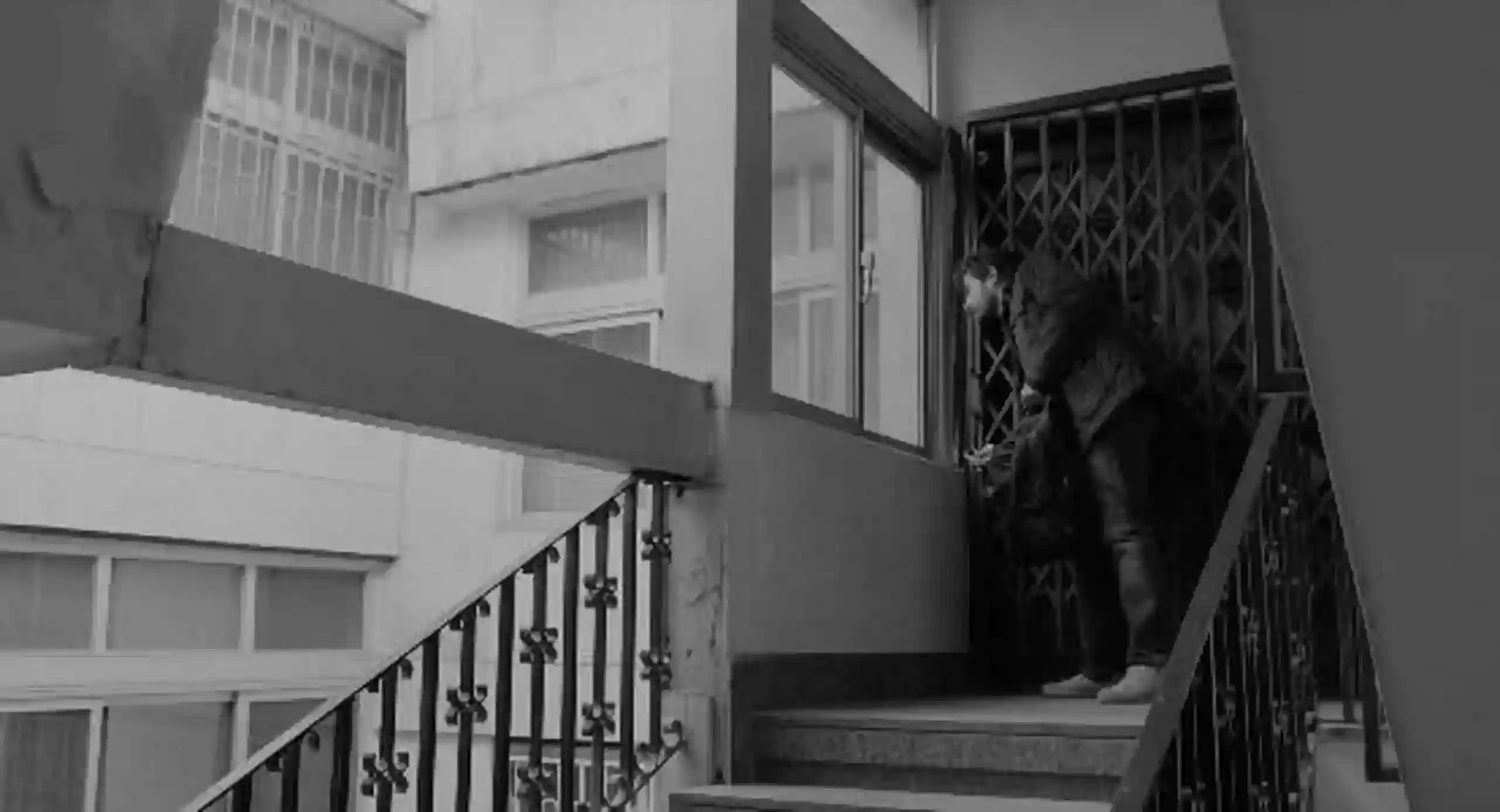 Satıcı Film Analizi